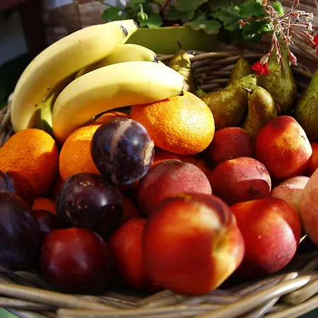 夏加迪斯酒店 旅馆 *