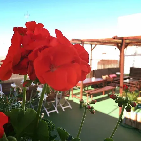 Hostel Summer Cadiz Cadiz