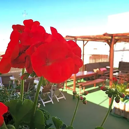Summer Cadiz *