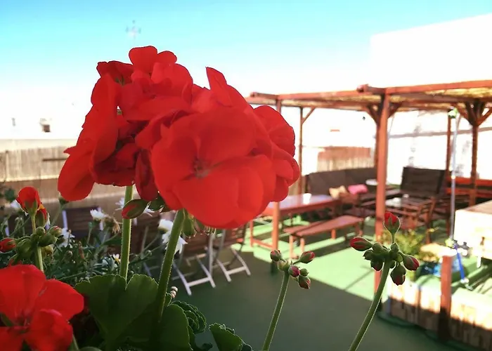 Hostel Summer Cadiz Cadiz